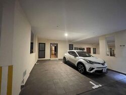 Holland Link (D10), Terrace #470224181